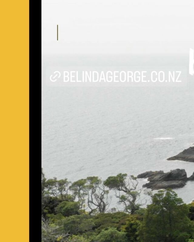 Our beautiful new website is now live! Check it out for some new projects and a bit about us and how we work. Best viewed on desktop for all the colourful details ✨ belindageorge.co.nz
